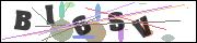 CAPTCHA image characters