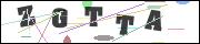CAPTCHA image characters
