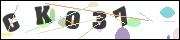 CAPTCHA image characters