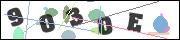 CAPTCHA image characters