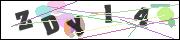 CAPTCHA image characters